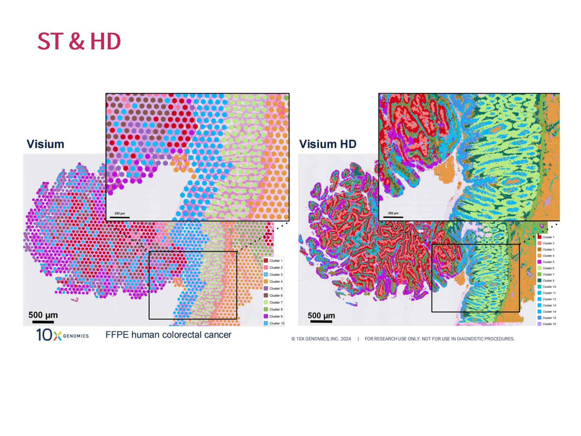官网个性化生物信息分析 (2.25)--_09.jpg